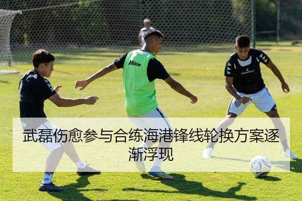 武磊伤愈参与合练海港锋线轮换方案逐渐浮现